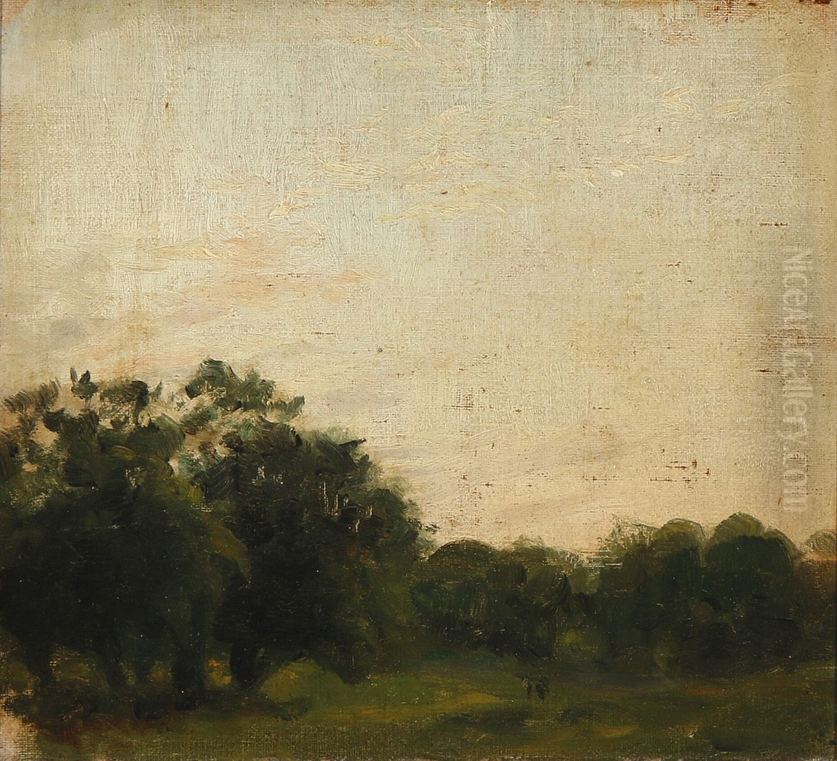A forest glade. Study Oil Painting by unknown