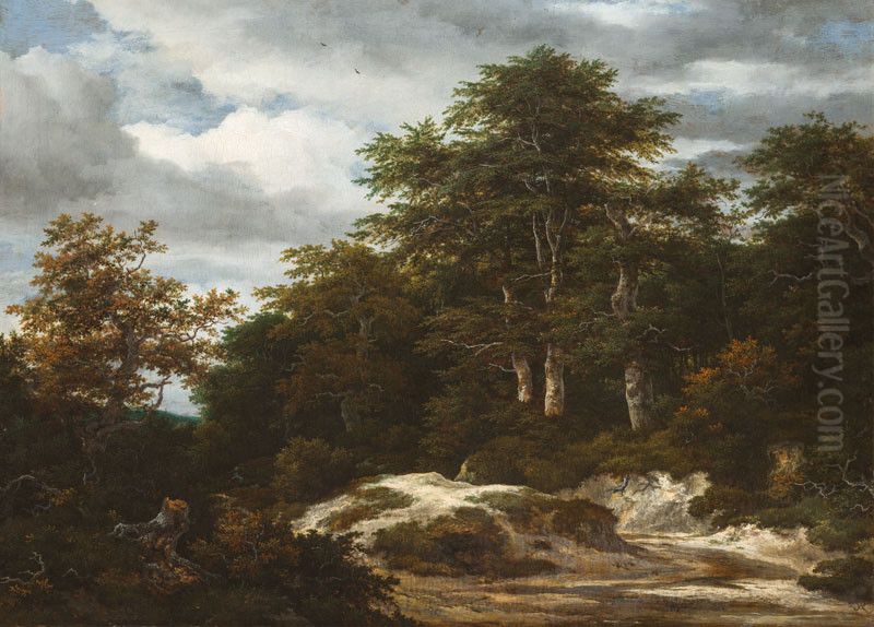 A Wood with a Stream Oil Painting by Jacob Van Ruisdael
