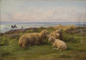Moutons au bord de la Mer[1]