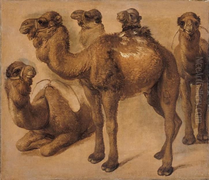 Study of camels Oil Painting by Pieter Boel