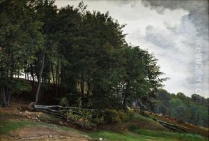 Skovklaedte bakker