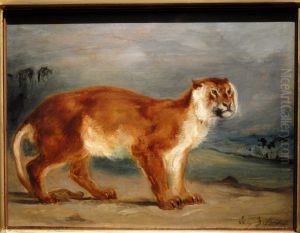 Lioness