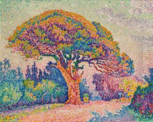 The Pine Tree at Saint Tropez