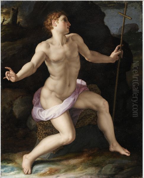 Saint John the Baptist in the Wilderness Oil Painting by Bronzino