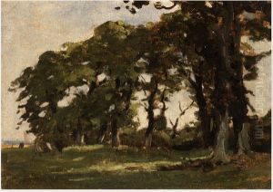 Row of Trees near the Shore