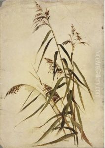 A Grass Plant