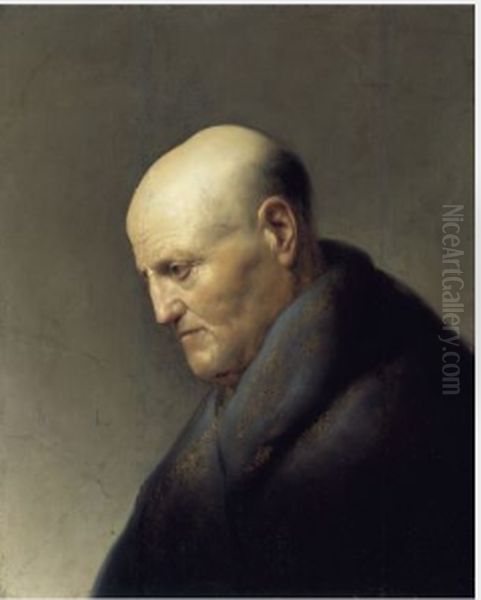 Head of an Old Man Oil Painting by Jan Andrea Lievens