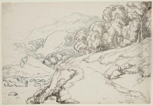 Near Dolgelly