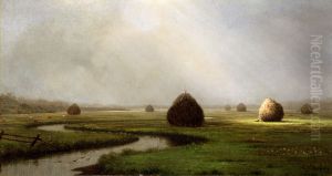 Hazy Day on the Marshes, New Jersey