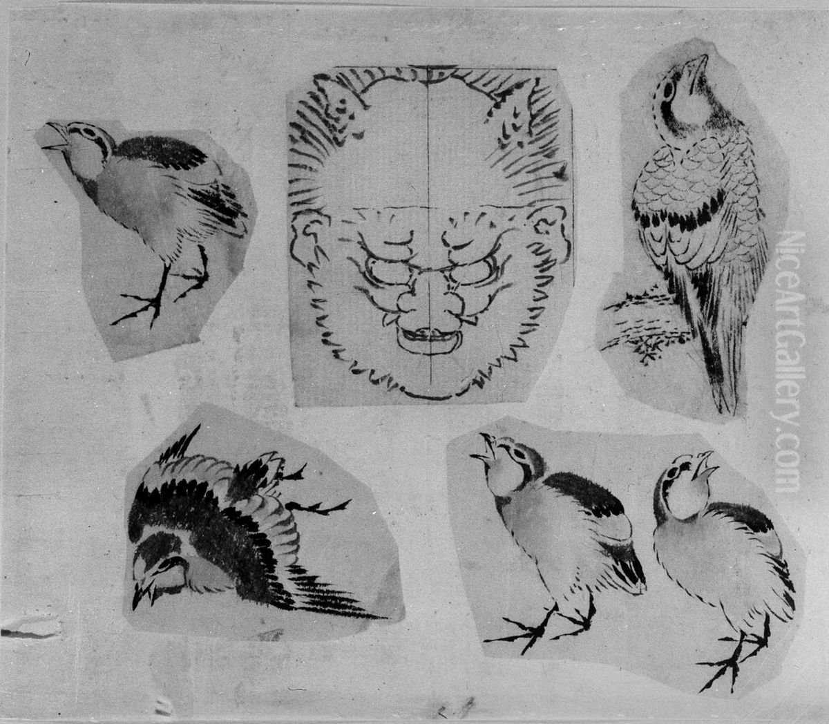 Four sketches of birds and one design for a grotesque mask, mounted together Oil Painting by Katsushika Hokusai