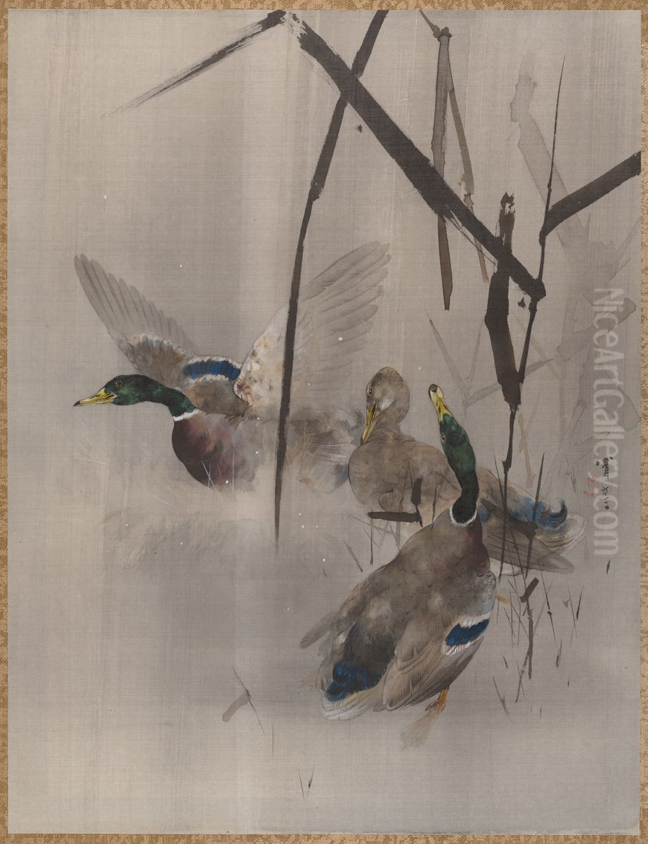 Ducks in the Rushes Oil Painting by Watanabe Shotei