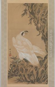 White Eagle Eyeing a Mountain Lion