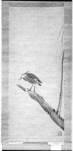Heron and Willow