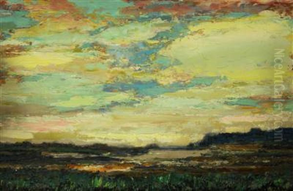A Sunset Over A Swamp Oil Painting by Cenek Chodera