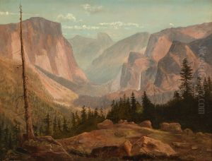 In the Sierra Nevada Mountains