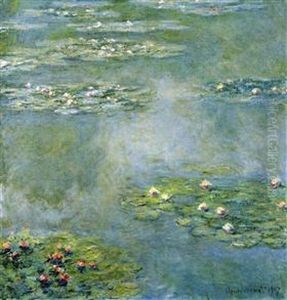 Water Lilies