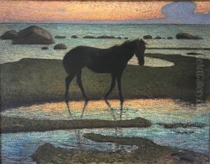 Hast vid strand (Sommarnatt)