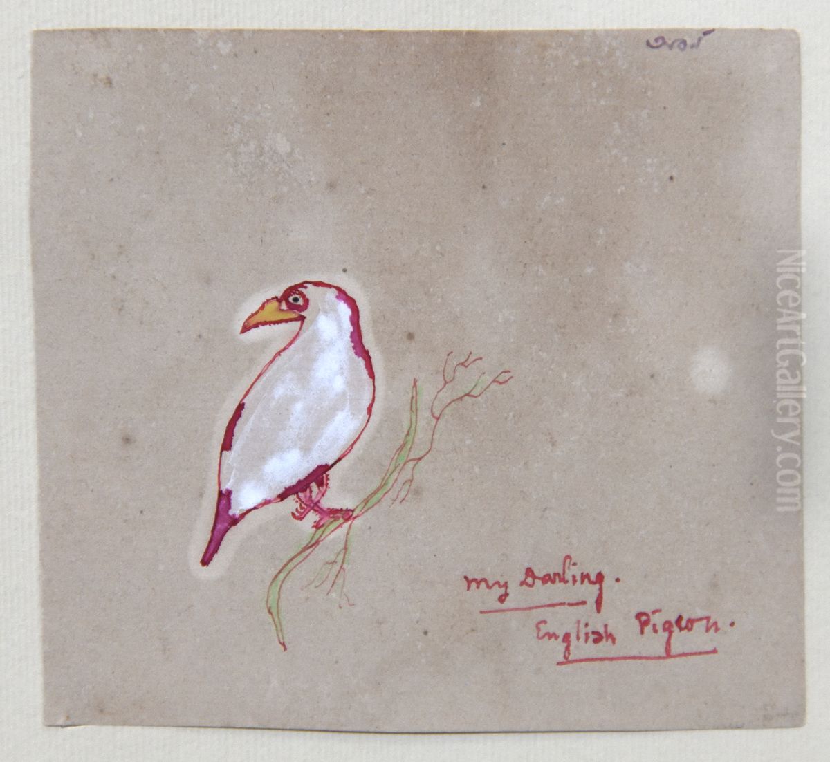 English Pigeon Oil Painting by Abanindranath Tagore