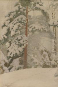 Honka lumessa (fi); Pine Tree in Snow (en); Furan i snon (sv)