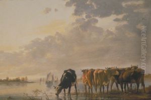 Cattle by a River