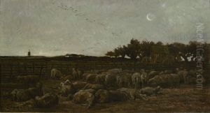 Sheepfold at daybreak