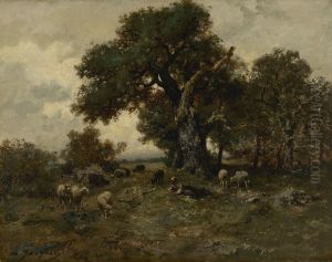 Landscape with sheep