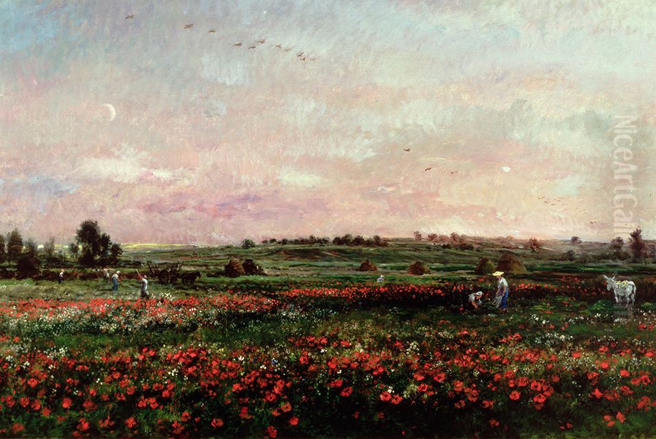 Les champs au mois de juin Oil Painting by Charles-Francois Daubigny