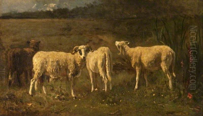 Sheep Oil Painting by Constant Troyon