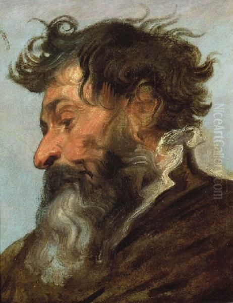 Head of a man in profile facing left Oil Painting by Sir Anthony Van Dyck