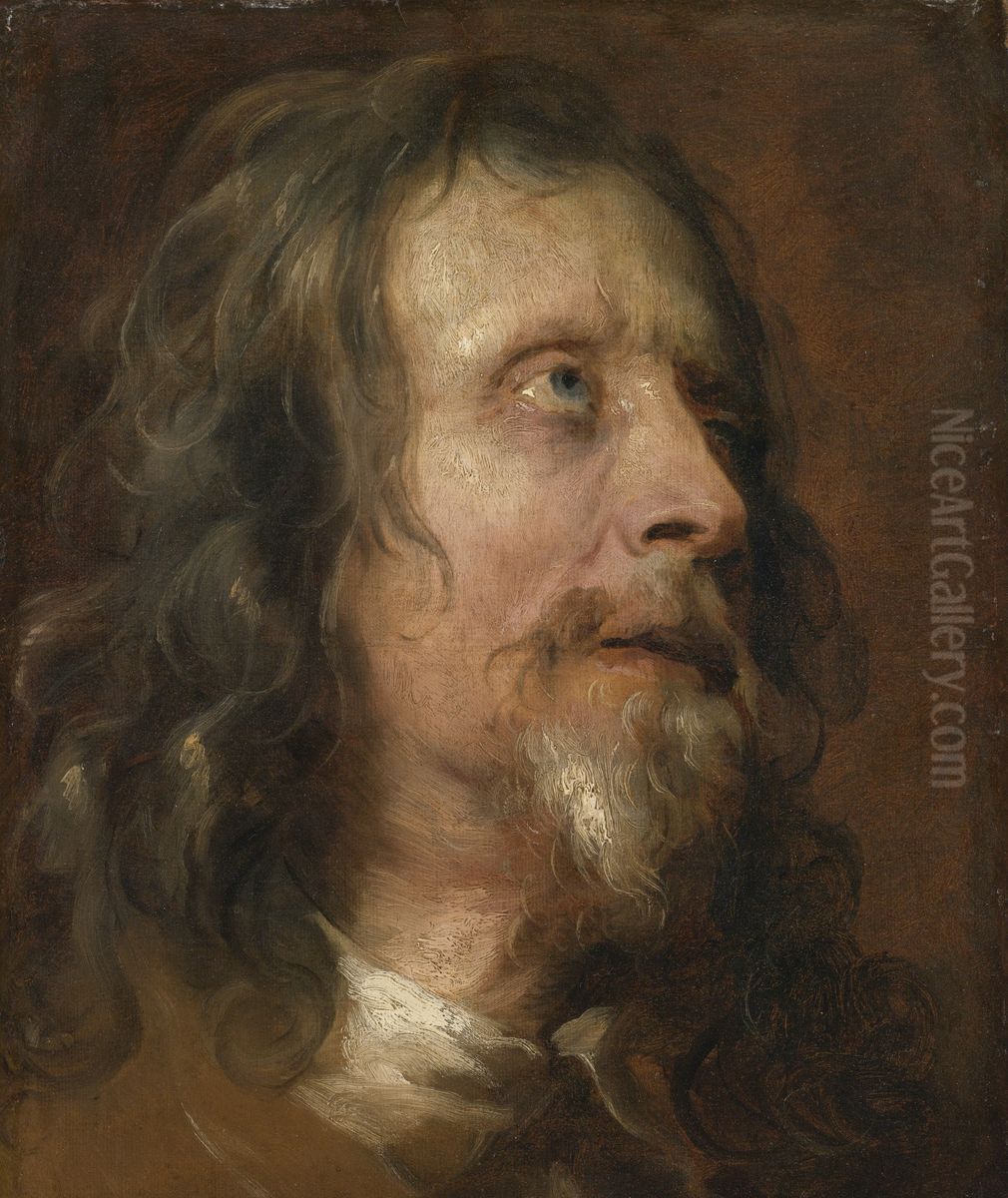 Study head of a bearded man Oil Painting by Sir Anthony Van Dyck