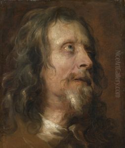 Study head of a bearded man