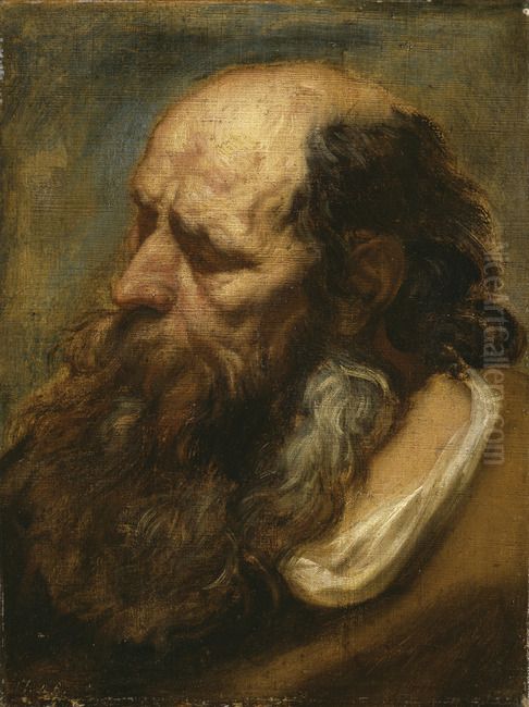 Study head of an old bearded man Oil Painting by Jacob Jordaens