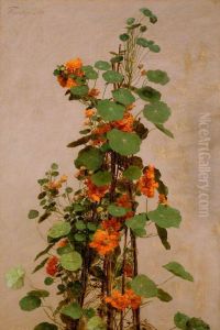 Nasturtiums