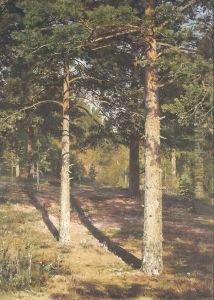 The Sun Lit Pines