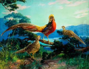 Golden Pheasants by John Henry Hintermeister