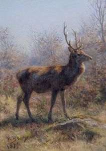 The Stag