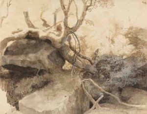 Decaying Forest
