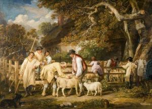 Sheep Salving