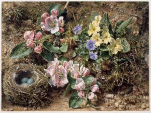 Birds Nest,  Apple Blossom and Primroses