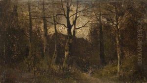 Path Through A Wood