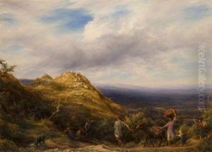 A Wooded Valley And Hill