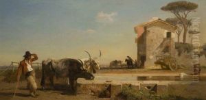 Cattle At A Drinking Place In The Compagna, Rome
