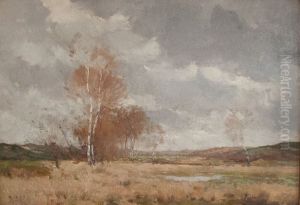De Genkerheide De Genkerheide