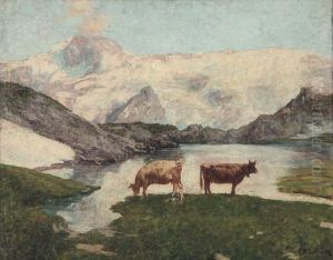 Pascolo Alpino