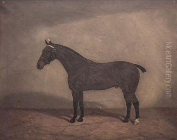 Portrait Of A
Bay Horse In A Stable Oil Painting by William Clark Of Greenock