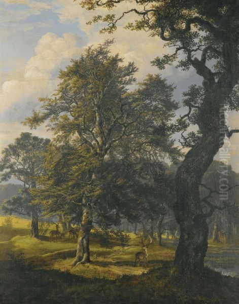 Dyrehaven Near Copenhagen Oil Painting by Johan Christian Clausen Dahl