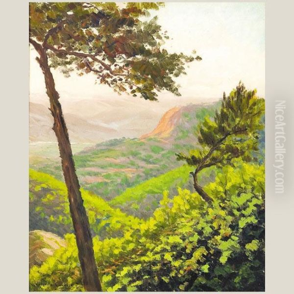 Paisaje Oil Painting by Adelardo Covarsi Yustas