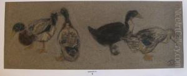 Les Canards Oil Painting by Suzanne Crepin