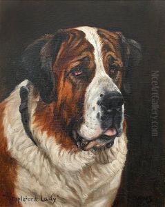 Stapleford Lady - Portrait Of A St. Bernard