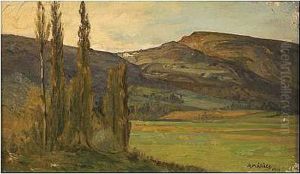 Paisaje Con Chopos